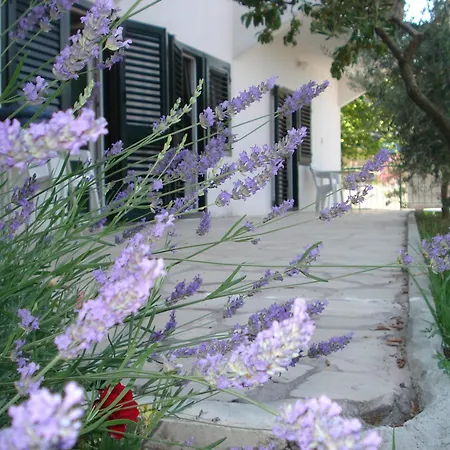 Apartment Smiljana *